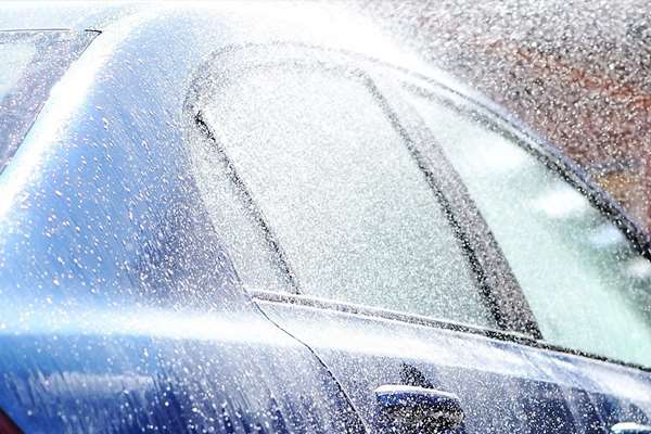 Kurang Perhatian, Jamur ‘Tumbuh’ Subur