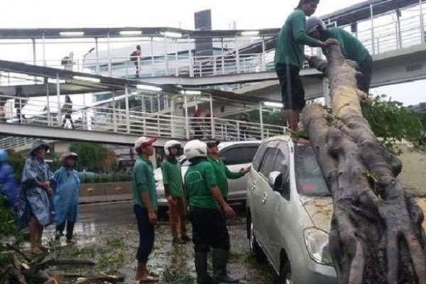 Mobil Jadi Korban Pohon Tumbang, Ada Ganti Rugi Pemerintah