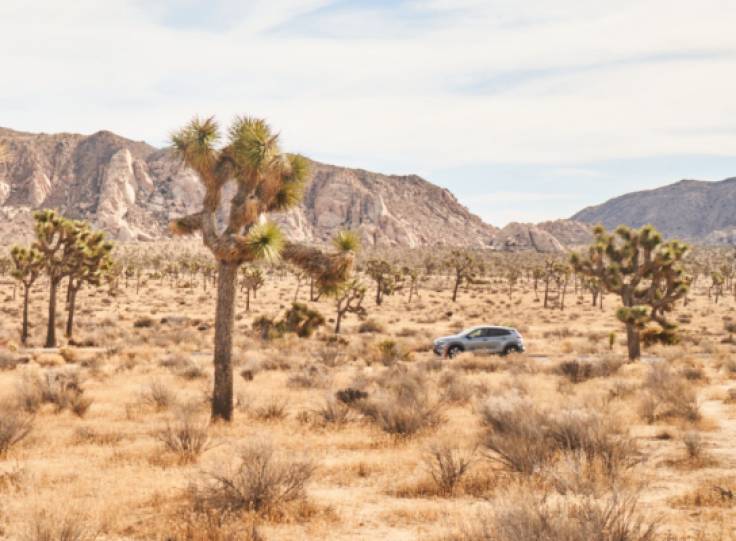 Classroom In The Wild